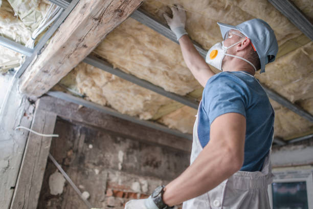Best Specialty Insulation in Santaquin, UT